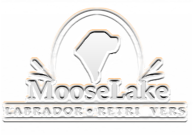MooseLake Labradors